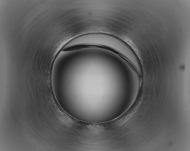 X0000090611089200707311217