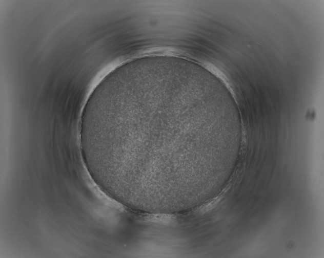 X0000090611090200707311217