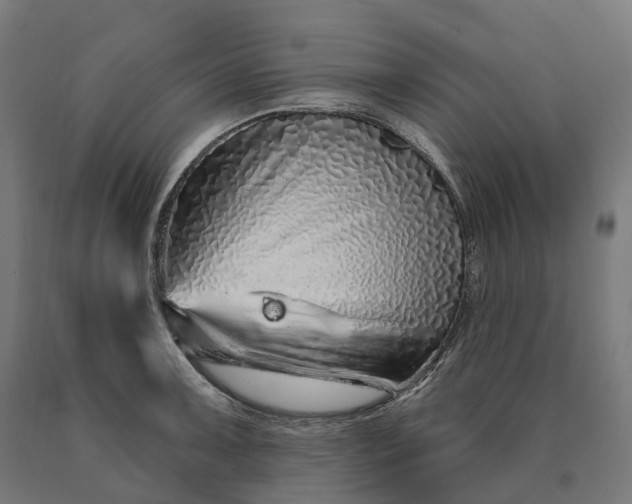 X0000090611091200707311217