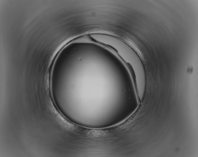 X0000090611092200707311217