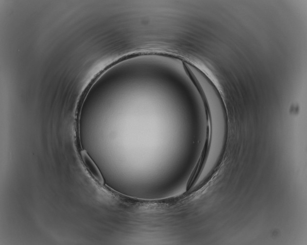 X0000090611093200707311217