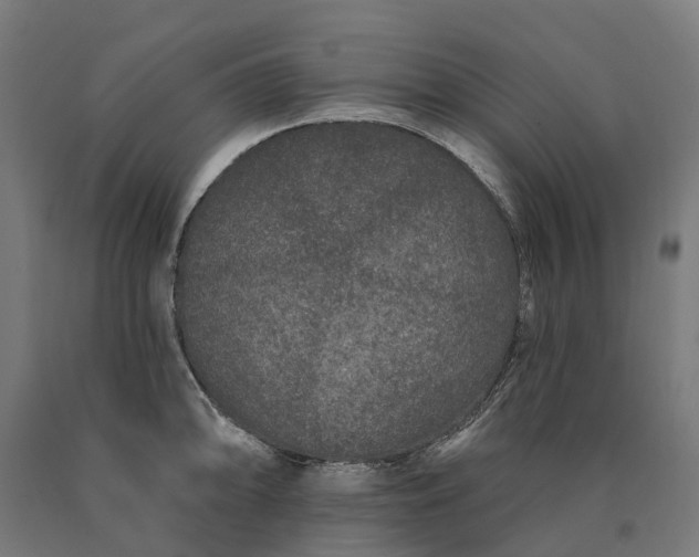 X0000090611094200707311217