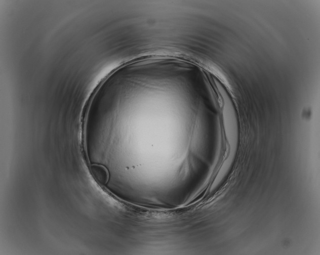 X0000090611095200707311217