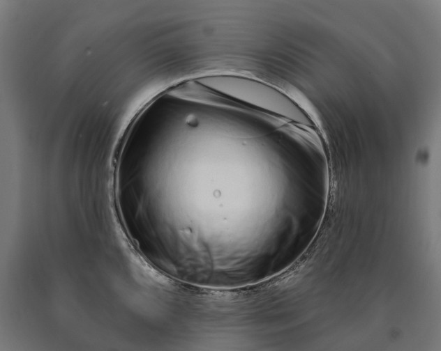 X0000090611096200707311217