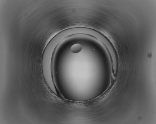 X0000090611097200707311217