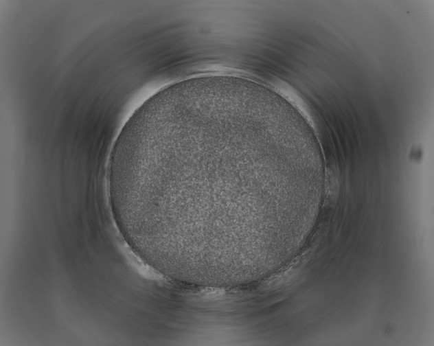 X0000090611098200707311217