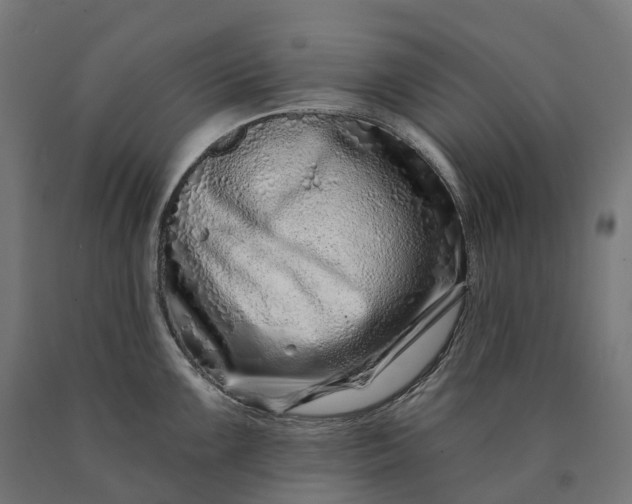 X0000090611099200707311217