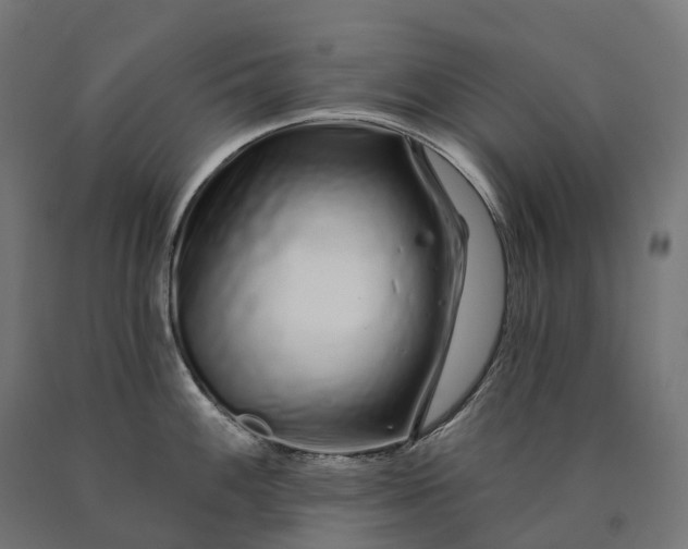 X0000090611100200707311217