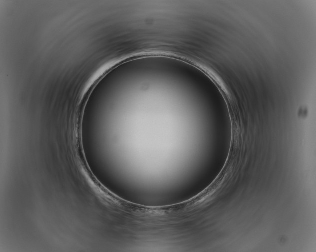 X0000090611101200707311217