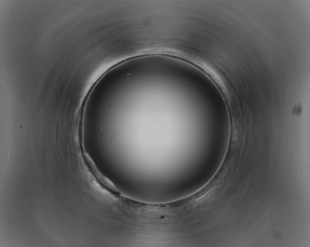 X0000090611102200707311217