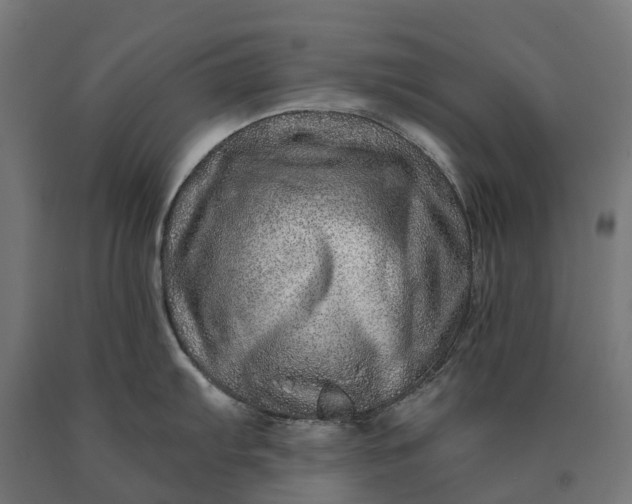 X0000090611103200707311217