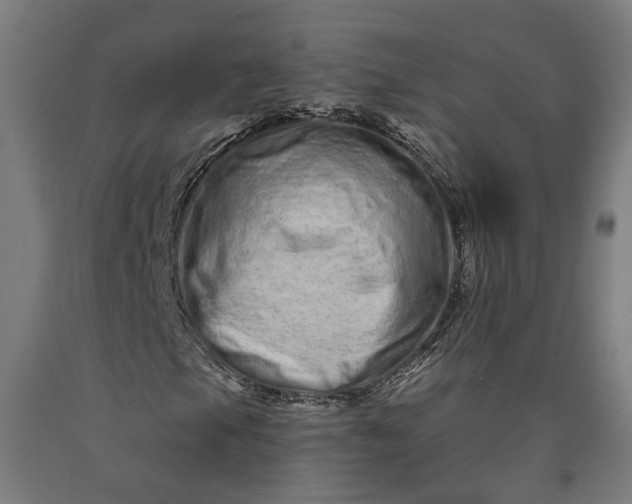 X0000090611105200707311216