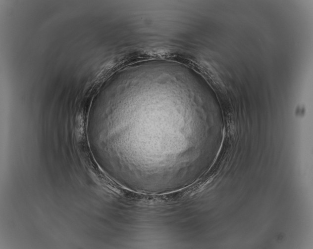 X0000090611106200707311216