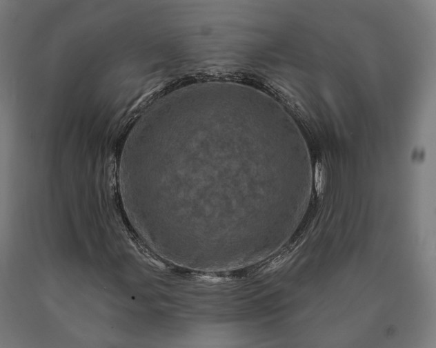 X0000090611107200707311216