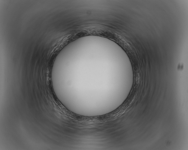 X0000090611108200707311216