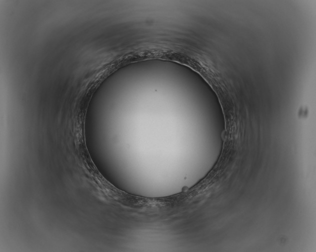 X0000090611109200707311216