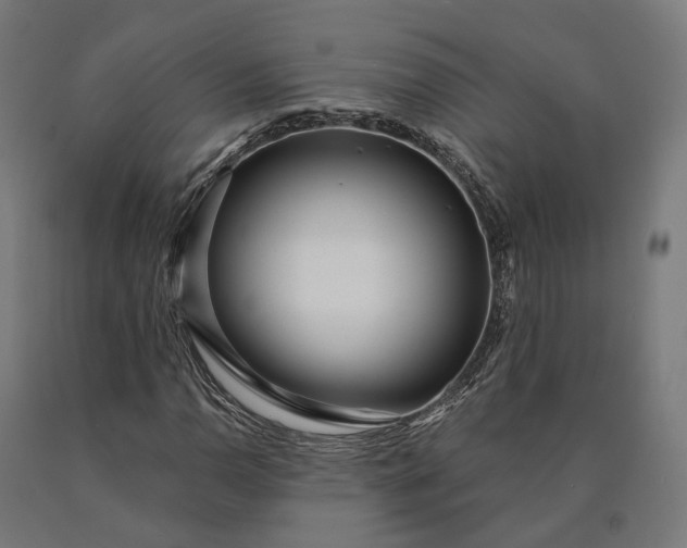 X0000090611110200707311216