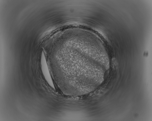 X0000090611111200707311216