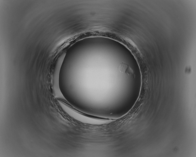 X0000090611112200707311216