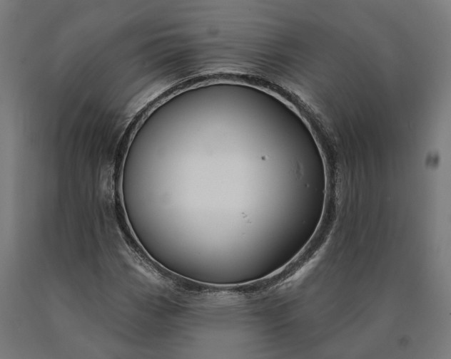 X0000090611113200707311216