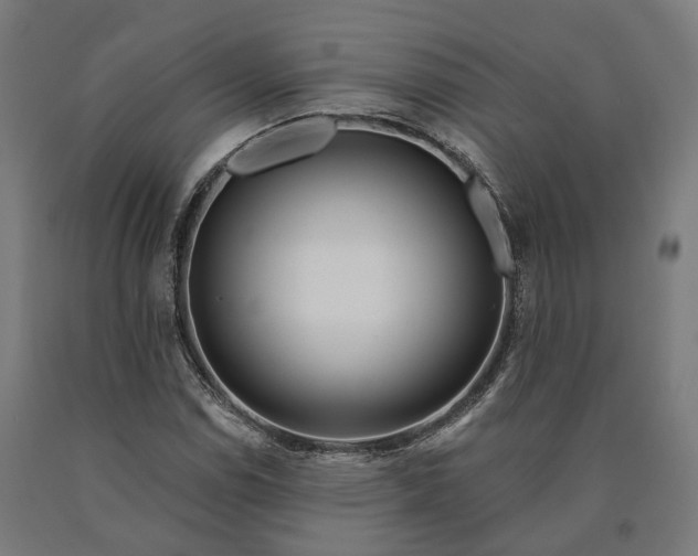 X0000090611114200707311216