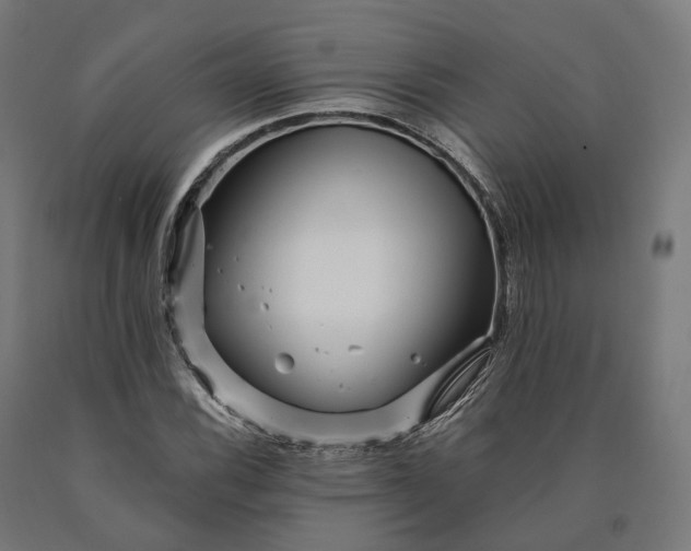 X0000090611116200707311216