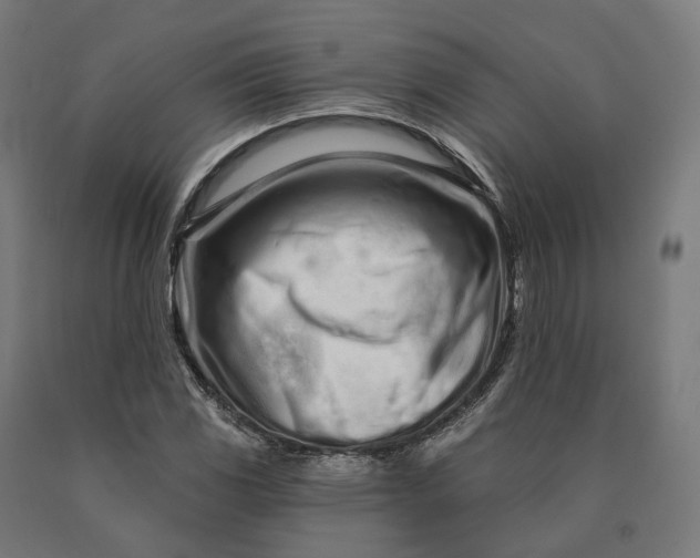 X0000090611117200707311216