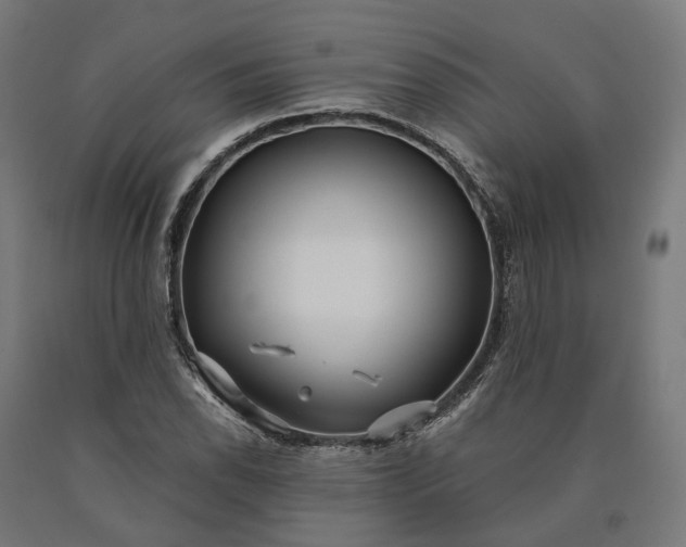 X0000090611118200707311216