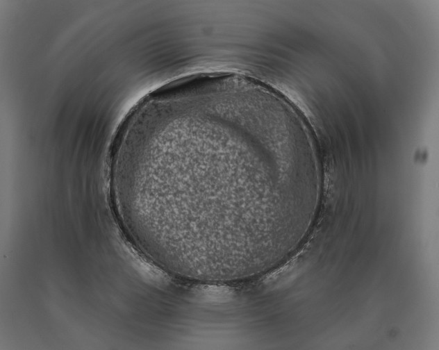 X0000090611119200707311216