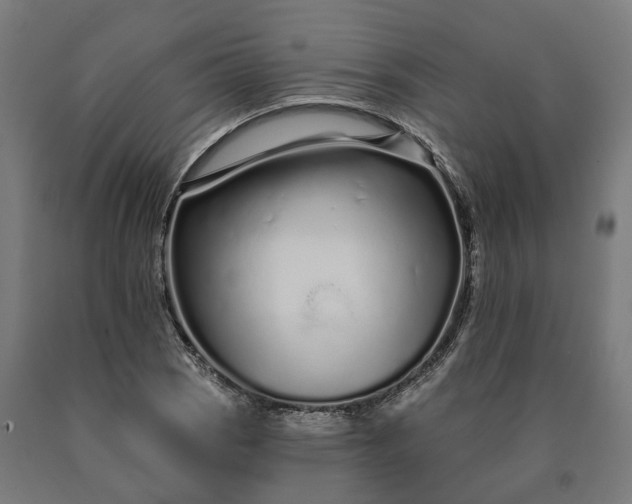 X0000090611121200707311217