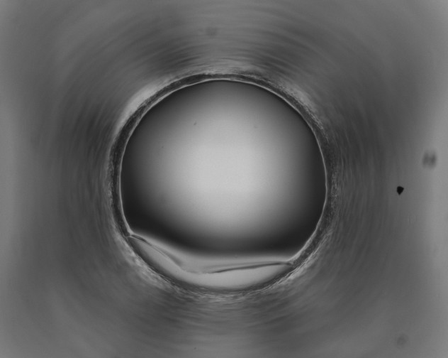 X0000090611122200707311217