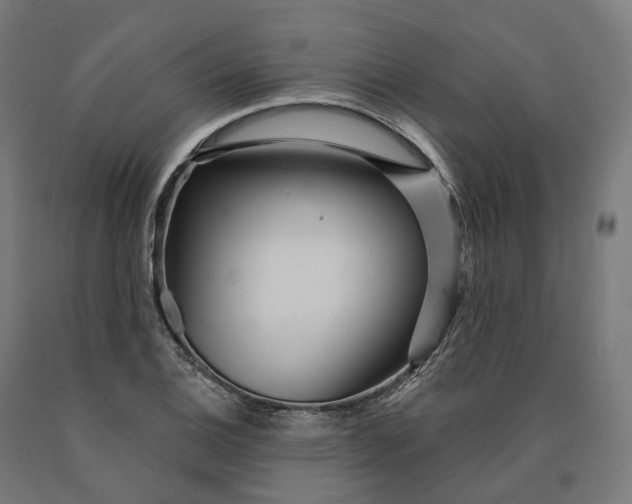 X0000090611124200707311217