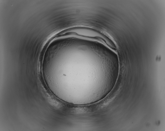 X0000090611125200707311217