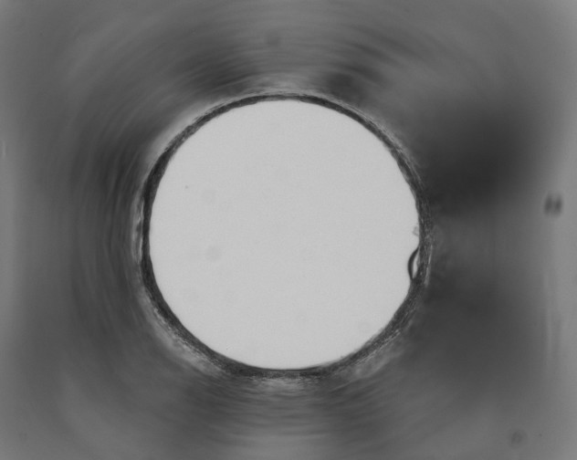 X0000090611126200707311217