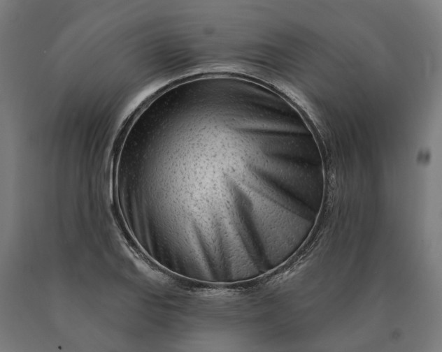 X0000090611127200707311217