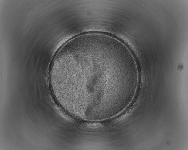 X0000090611129200707311217