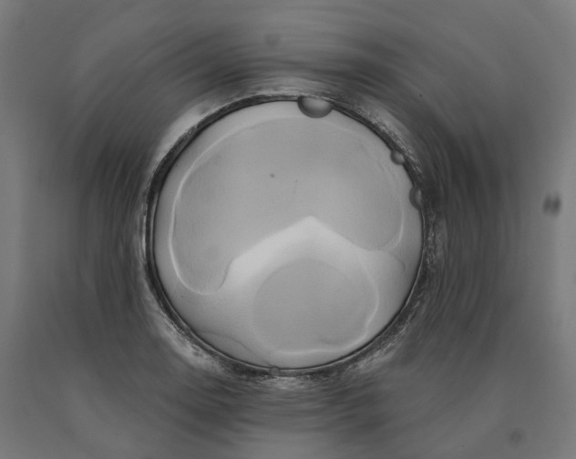 X0000090611130200707311217