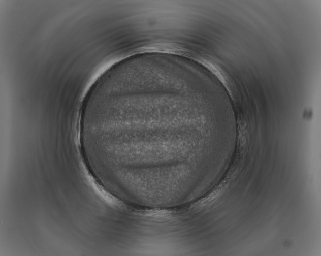 X0000090611131200707311217