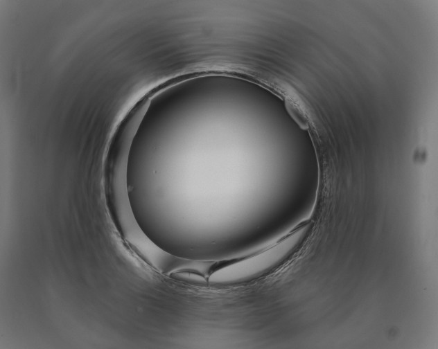 X0000090611132200707311217