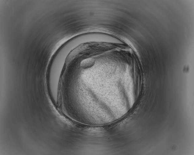 X0000090611133200707311217