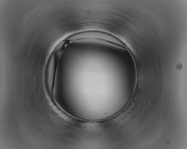 X0000090611134200707311217