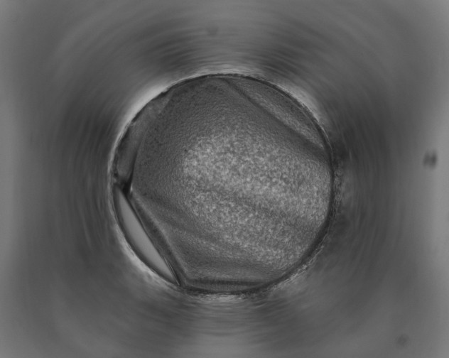 X0000090611135200707311217