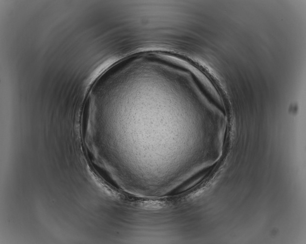 X0000090611137200707311217