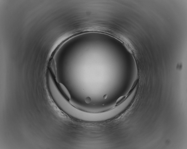 X0000090611138200707311217