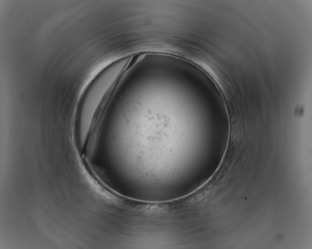 X0000090611139200707311217