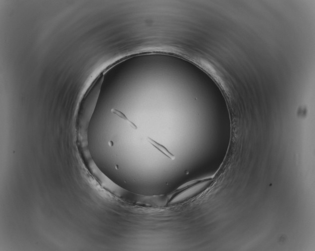 X0000090611140200707311217