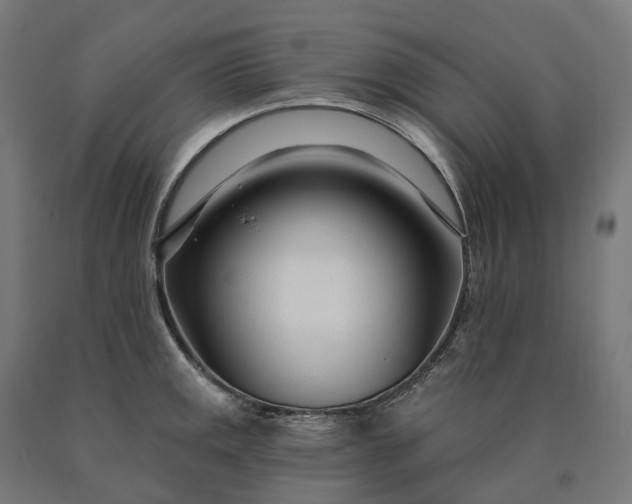 X0000090611141200707311217