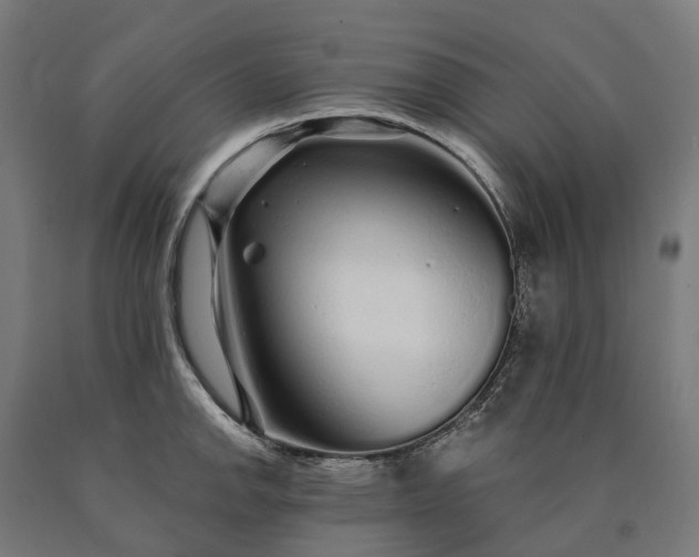 X0000090611142200707311217