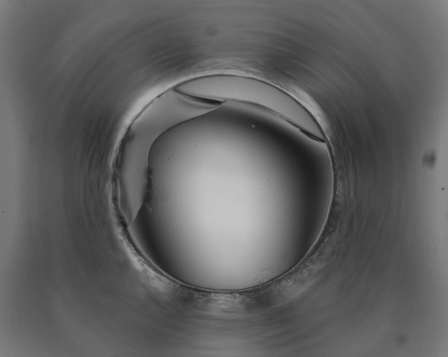 X0000090611144200707311217