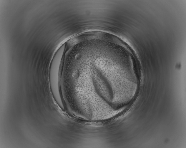 X0000090611145200707311217